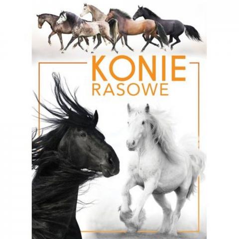 Konie rasowe