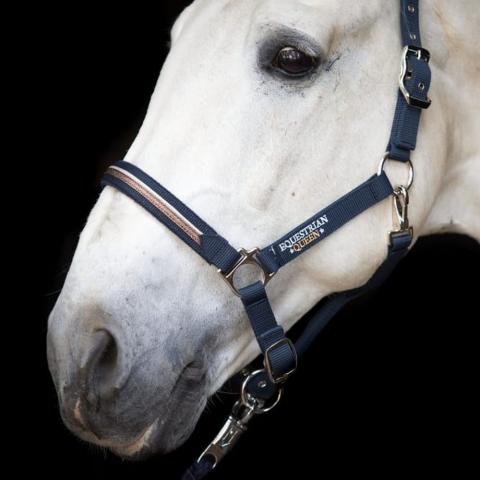 Kantar Equestrian Queen Paris granatowy