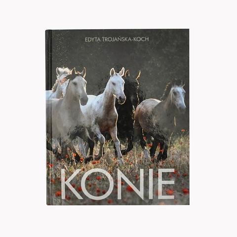 Konie - Edyta Trojańska-Koch