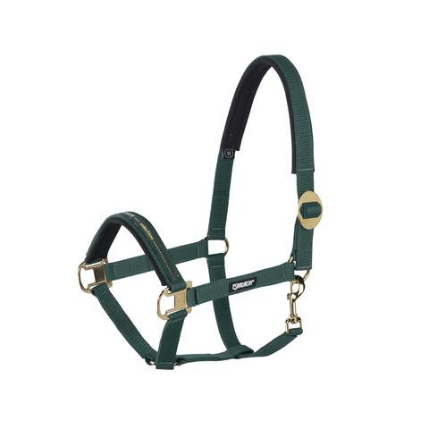 Kantar Eskadron Basics Silding Buckle racinggreen, zielony