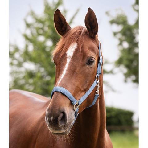 Kantar Waldhausen Satin jasnoniebieski