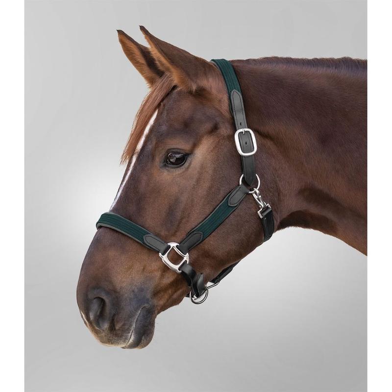 Kantar skórzany Waldhausen Star Mix zielony