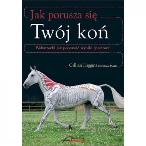Jak porusza się Twój koń