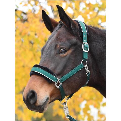 Kantar futerkowy Busse Ideal ciemnozielony