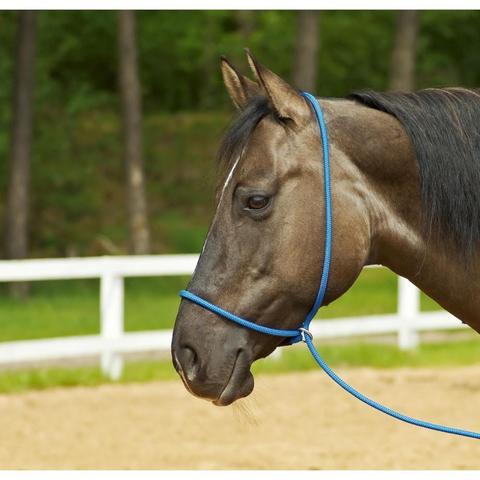 Kantar sznurkowy Busse Funktion 3w1 (kantar-uwiąz-smycz) czarny