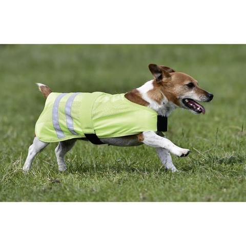 Derka dla psa Busse Reflection odblaskowa