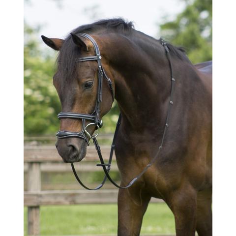 Ogłowie QHP Donn czarne